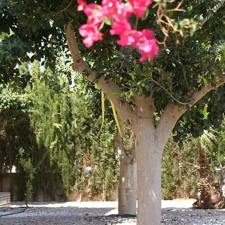Cabo Roig *